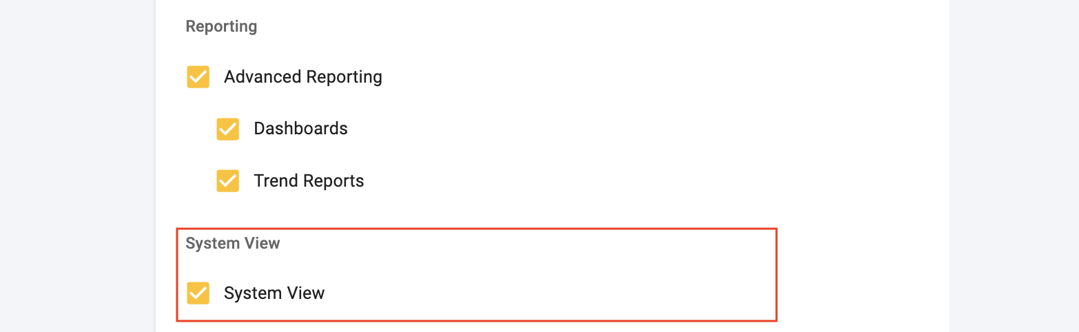 System View Feature Flag